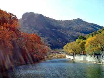 新澳天天彩免费资料大全查询，仙居顶风电